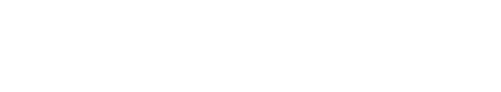 Na meji nevidnega
